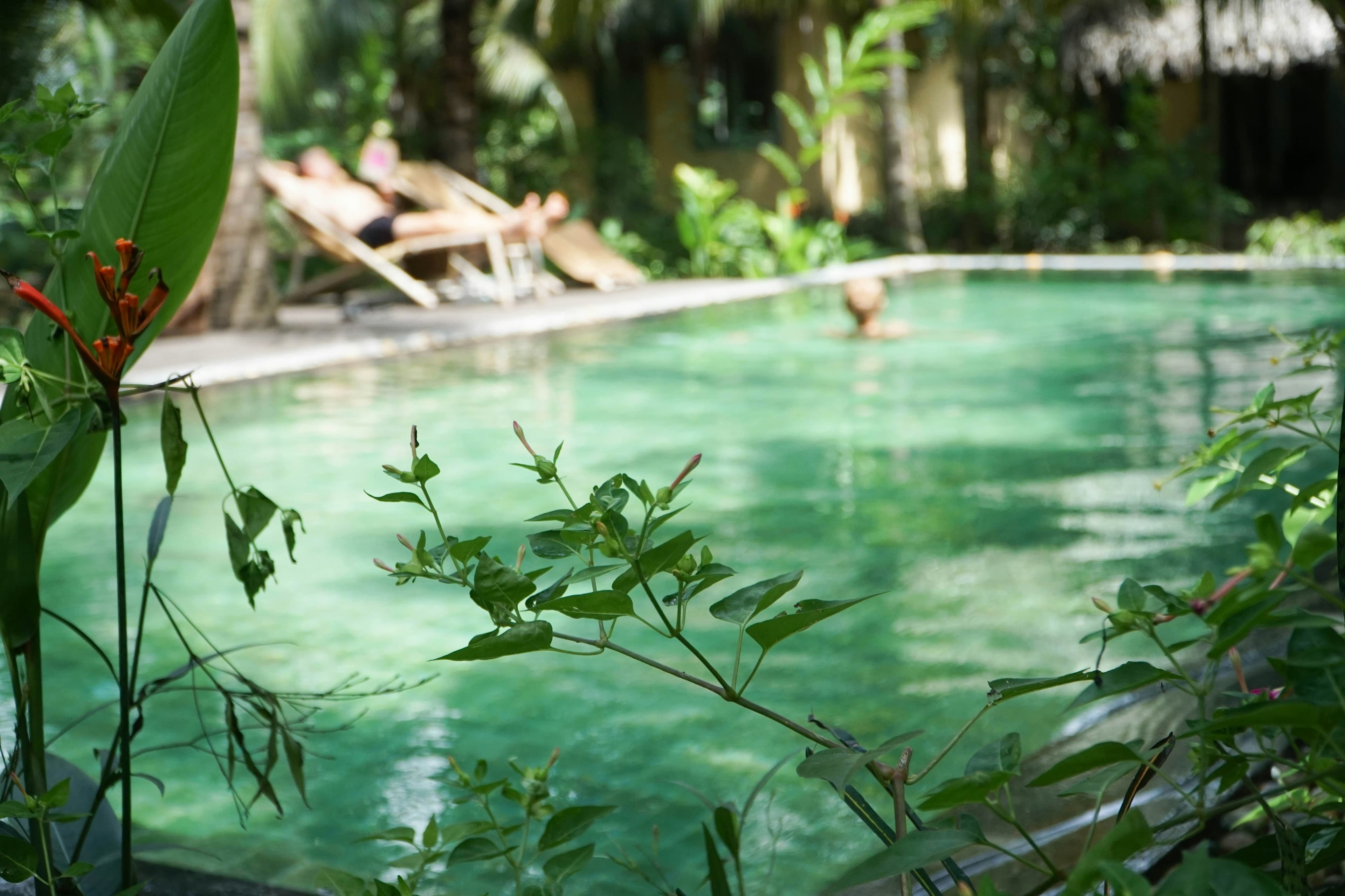 Casa de campo con piscina y jardín